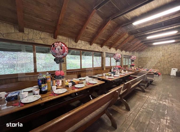 CABANA DACICA Refugiu premium la poalele Muntilor Dacici, in inima - 4