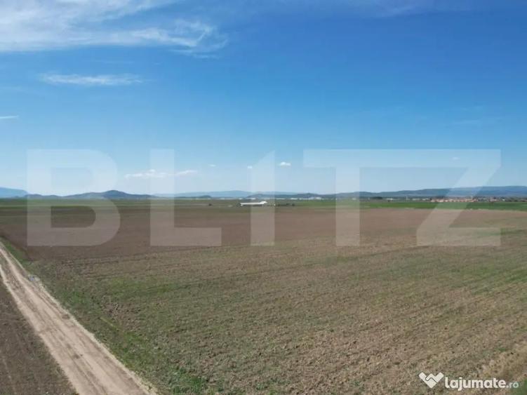 Teren extravilan, 17700mp, zona Prejmer - 9