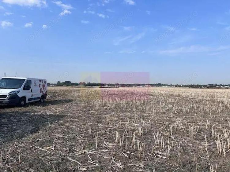 Teren Domnesti strada Ciocarliei. - 1