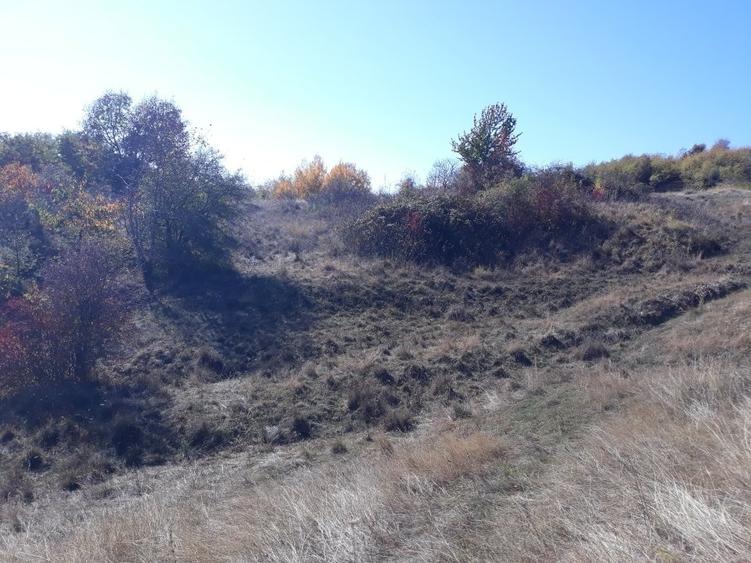 OFERTĂ SPECIALĂ! Teren intravilan de vânzare în Câmpina pe Dealul Muscel - 11