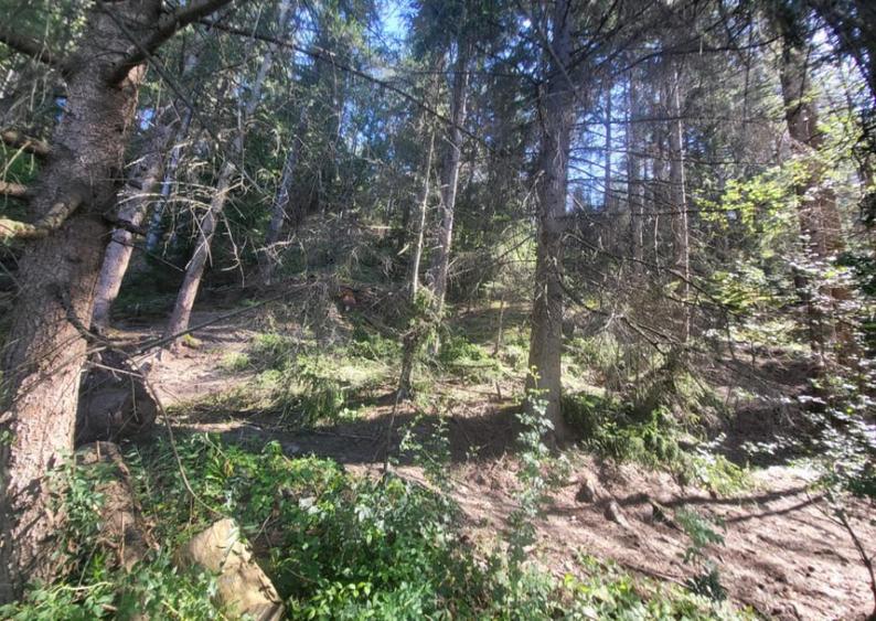 Teren, Ideal pentru Investitie Sau Dezvoltare - 4