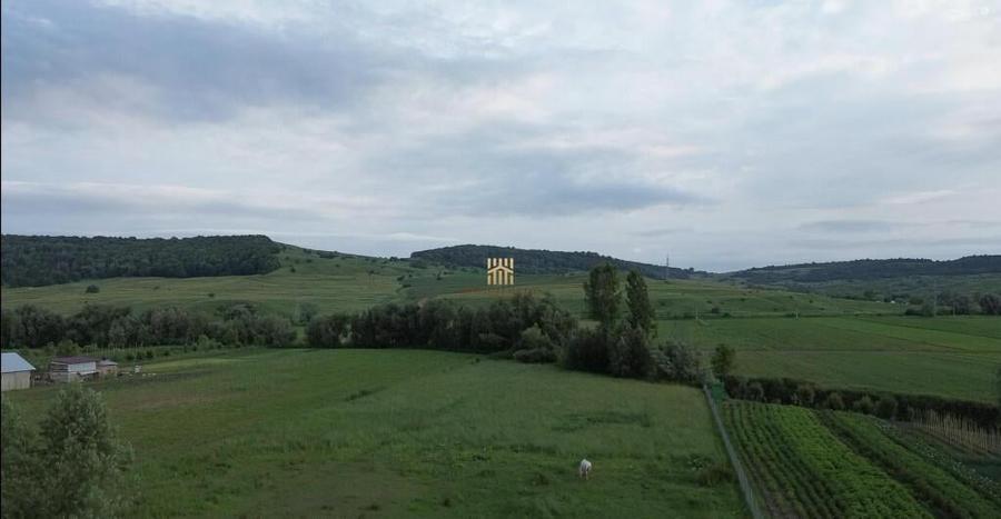 Teren 3953 mp Falticeni Tarna Mare De 0727817187 - 2