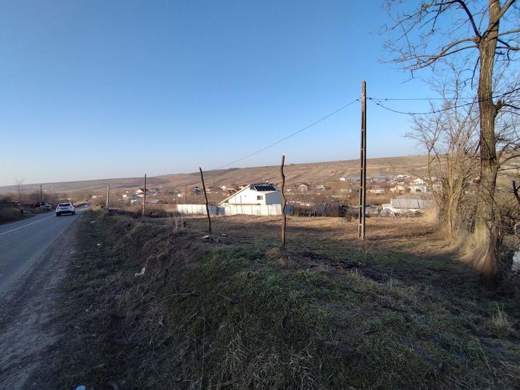 Vand teren intravilan Botosani - 7