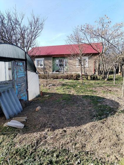 Casa batraneasca cu teren 4800m - 1
