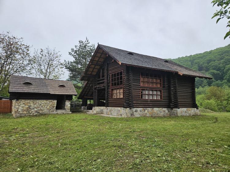 Vand Cabana din busteni ! - 1