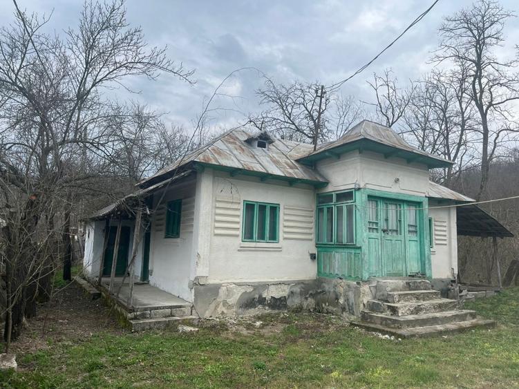 Gospodărie 2 case cu teren 5000m - 5