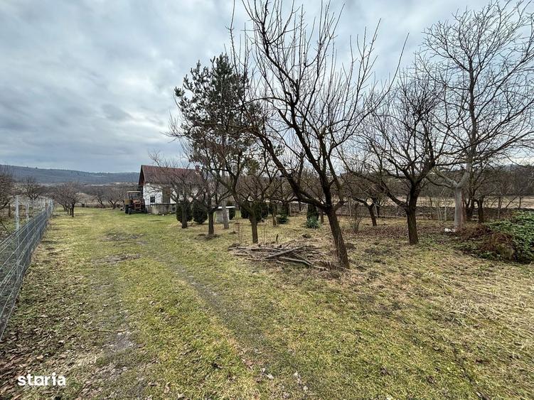 Teren intravilan construibil Sopor/Borhanci - 3