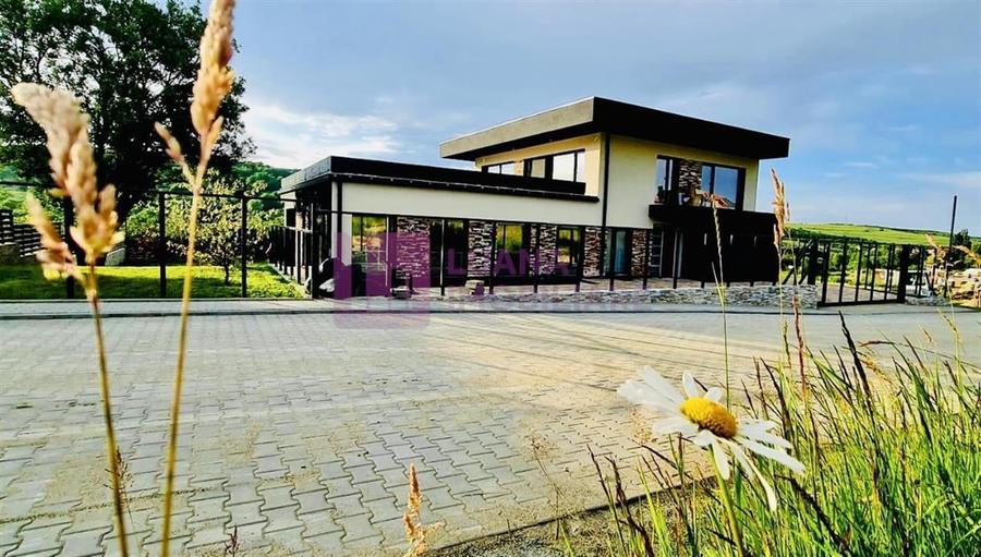 Vila individuala de lux | mobilata | NOUA | teren 1190 mp | piscina si garaj - 9