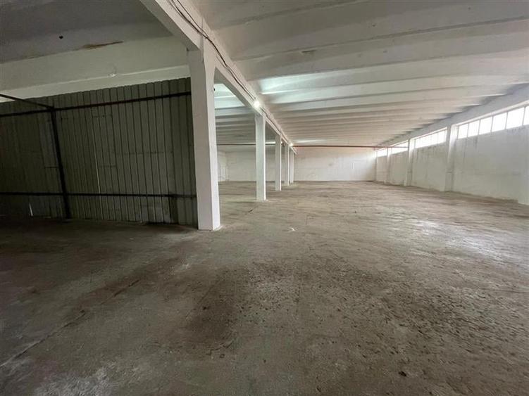 Hale de inchiriat zona Prislav Tulcea - 6