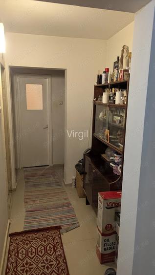 Primesc in gazda o persoana cu venit stabil