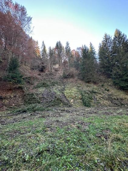 Teren 2.882 mp – oportunitate investitie - Cheile Dambovicioarei - 2