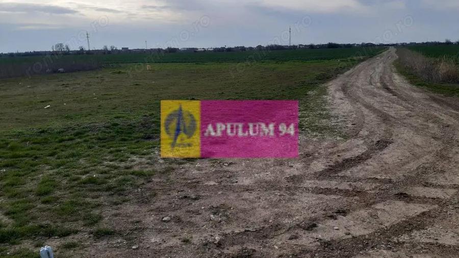 Parcela langa padure in Ilfov - 2