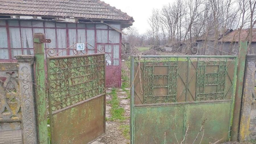Casa demolabila cu 3000 mp de teren in Fierbinti - 7