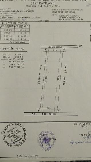 Vinzare TerenTincabesti linga Equestria - 2
