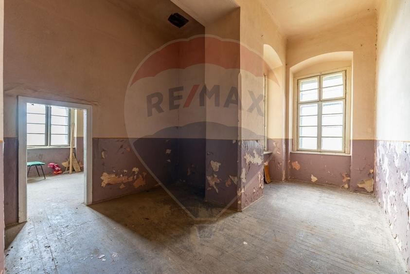 Conac aristocratic secolul XIX , domeniu  2,5 hectare — Păuliș, Arad - 16