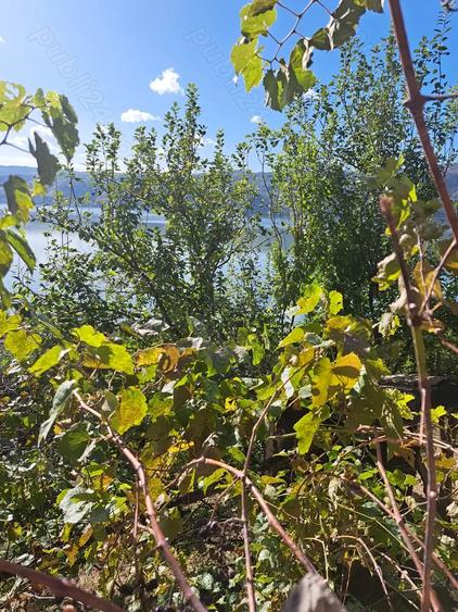 Casa batraneasca la Svinita - 5