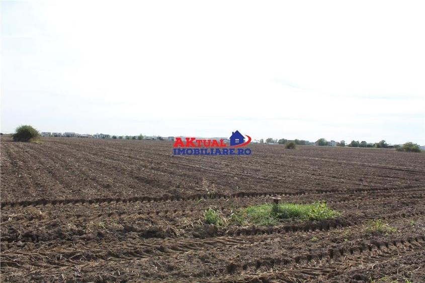 Teren de vanzare Balotesti -6.800mp-Stradal -Residentiale sau Comercial-cu toate - 5