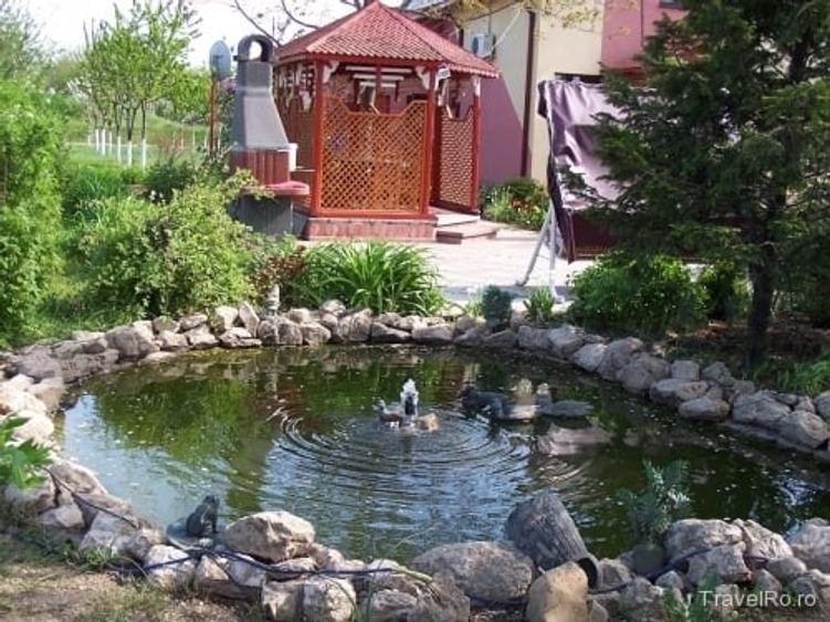 De Vânzare – Complex Turistic Miorița | 20.000 mp teren | Berceni, Ilfov - 6