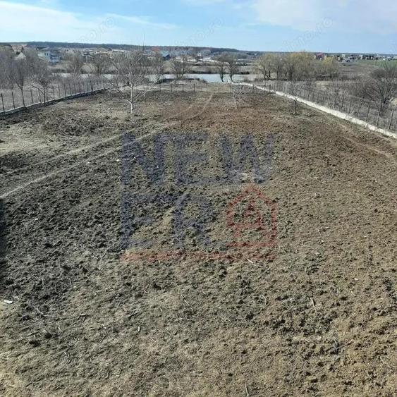 Teren 6.600mp cu deschidere la lac - zona centrala Corbeanca - 1