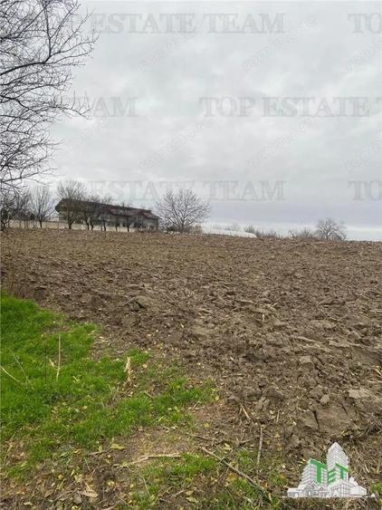 Teren 12223 mp in Prahova - 2