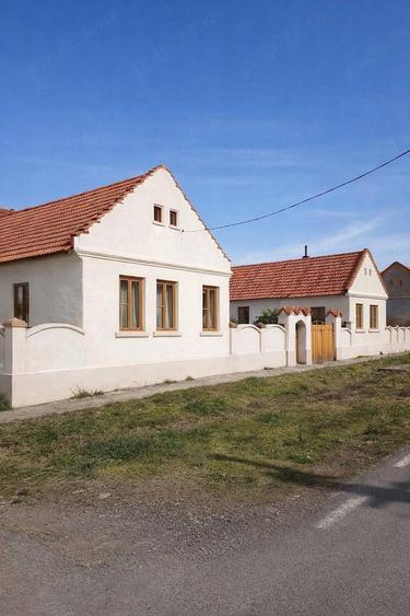 Casa de Vanzare PARU, TIMI? - 4