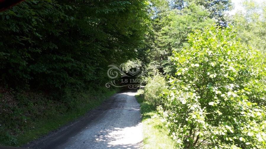Vand teren si padure conifere in Albestii de Muscel. - 6