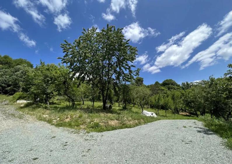 Parcela de 8,86 ari zona Valea Rosie - 4