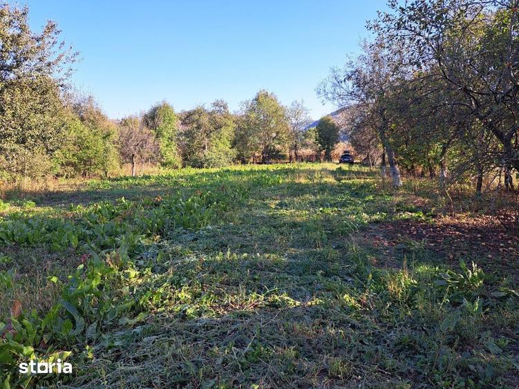 Casa si teren de vanzare cu CF cu toate utilitatile - 10