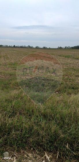 Teren extravilan 3000mp de vanzare la Santion - 4