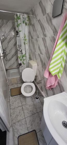 Casa de inchiriat - 5