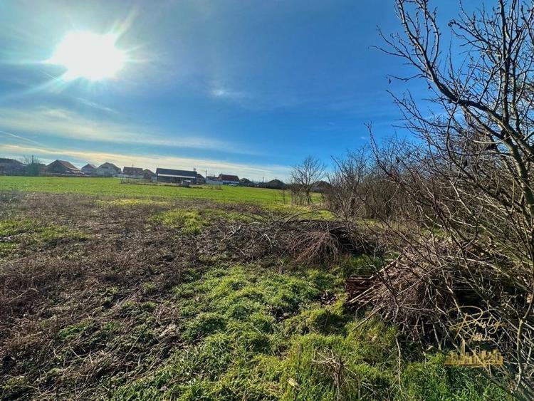 Teren de 1400 mp la strada principala in Salard - Bihor - 3