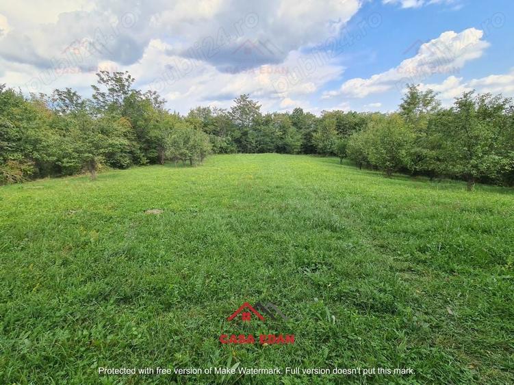 Teren intravilan in Poiana Campina--3287mp--10e - 4