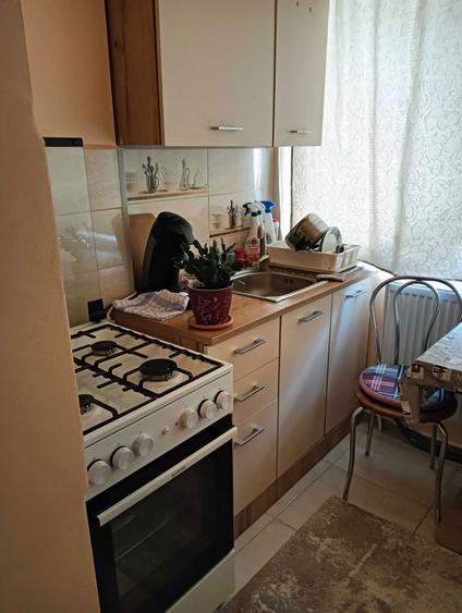 Apartament de vanzare in Bocsa - 4