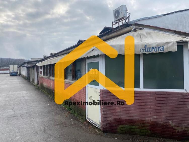 Hale Industriale de Vânzare Baicoi – 1100 mp + 800 mp, teren 5500 mp - 4