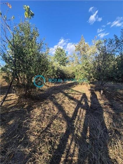 Royal Imobiliare - Vanzare Vila Zona Paulesti - Gageni - 41