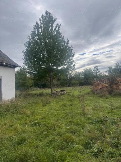 Casa de vanzare in Budureasa - 5