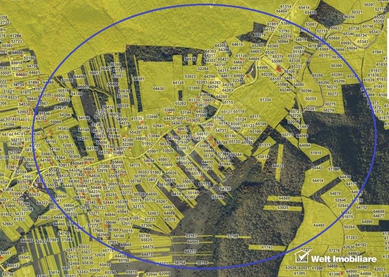Teren intravilan, Front 31m,  Salicea - 3