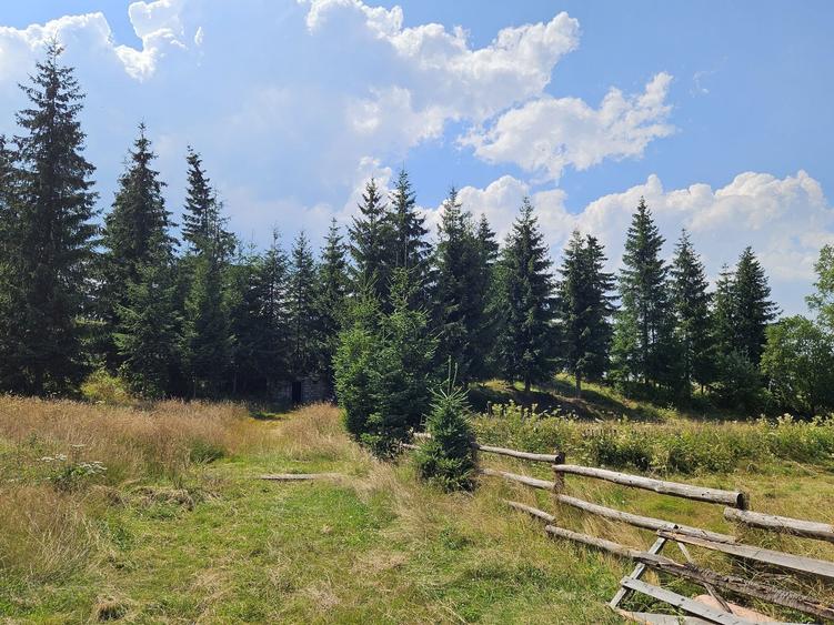 Teren Dealu Negru de vanzare, la 3 km de Belis - 1