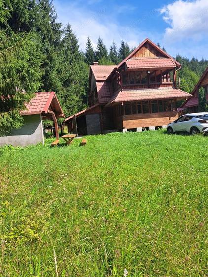 Cabana in mijlocul naturii, de vanzare, zona Lunca Bradului - Salard - 6