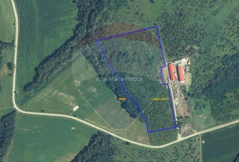 Teren 70,808mp ( sat Cuied - comuna Buteni )