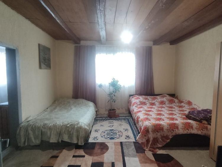 Vand casa la tara - 4