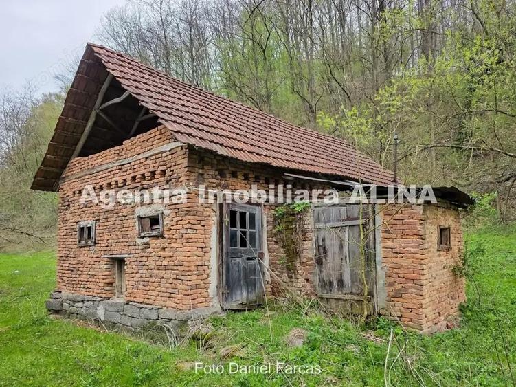 Teren intravilan 1.700 mp + 6.600 mp Padure de foioase + 1.200 mp Padure de foioase, Sat Nojag. - 6