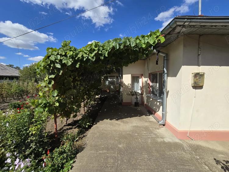 Casa de vanzare Frumu?ani, jud. Calara?i, aproape de Bucure?ti - 2
