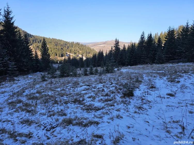 Teren extravilan de vanzare inconjurat de padure in Bucovina zona Breaza - 9