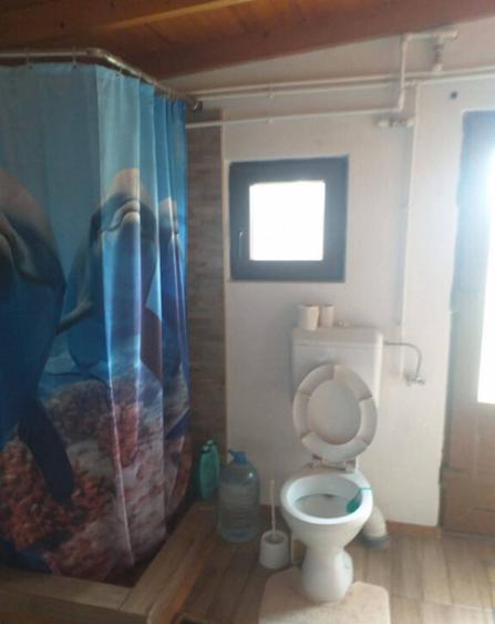 HORIA - 3 CAMERE ,SUPRAFATA 100 MP,TEREN 3000 MP CU DESCHIDE - 12