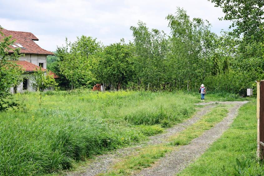 Teren Balotesti - Intravilan Constructii - 833 mp - Utilitati - Lac - Ocazie - 2