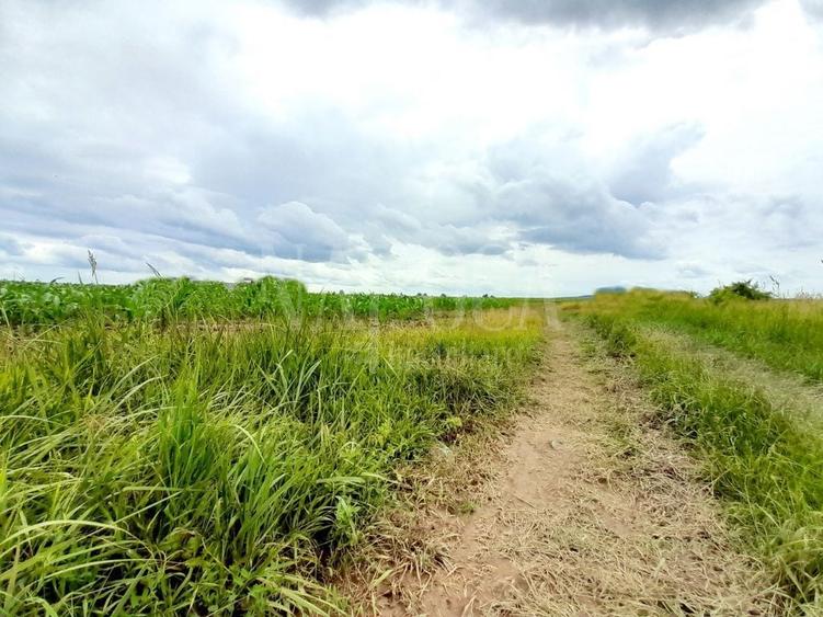 Teren intravilan pentru constructii de vanzare in Cheriu - 1