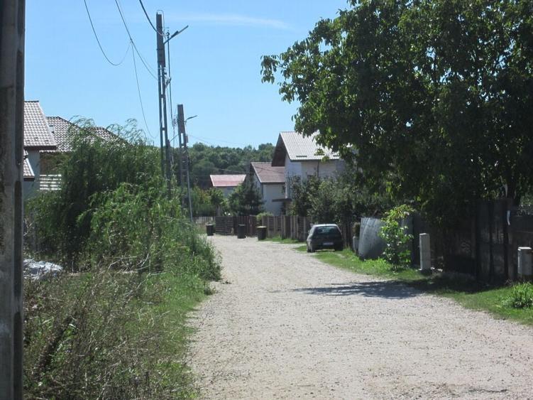 Domnesti Teghes-Padurarului - 14