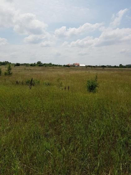 Vand teren - Ronat - 1