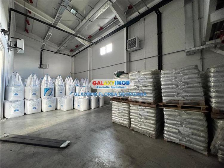 Vanzare spatiu industrial Crevedia - 10